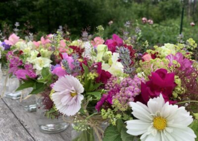 Fairy Blossoms