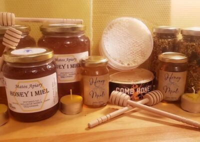 Matos Apiary